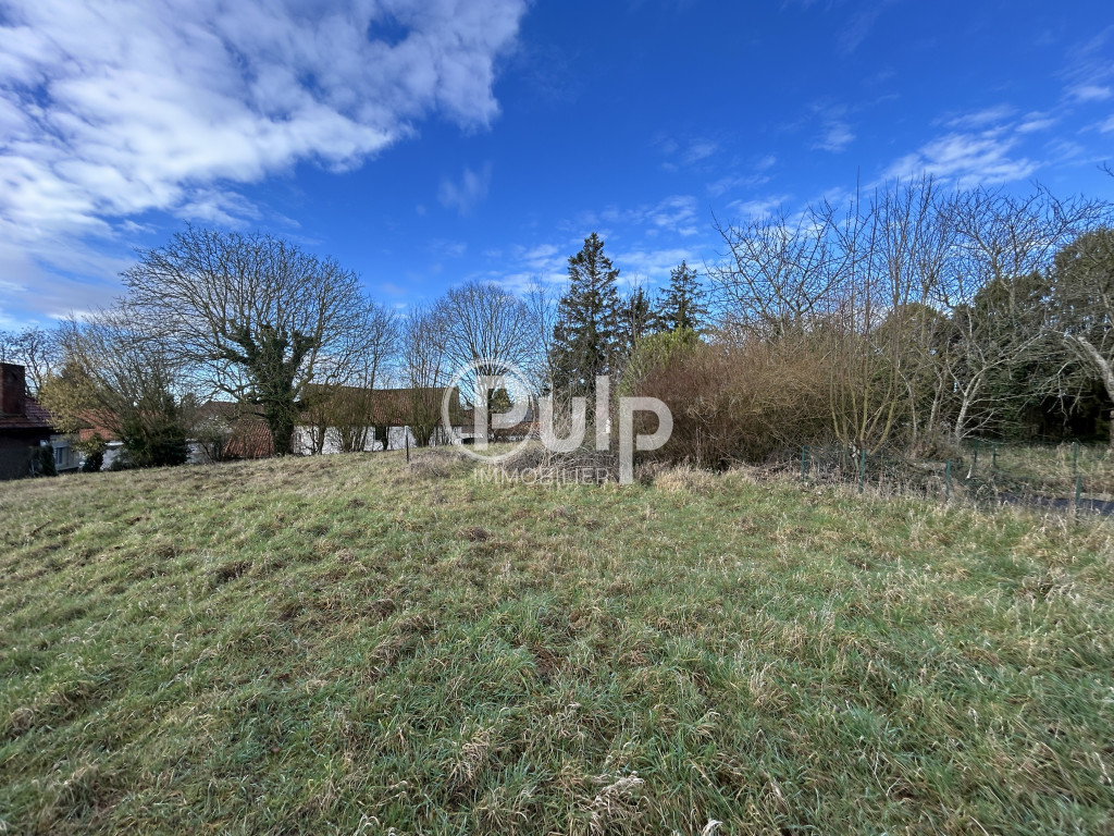TERRAIN à bâtir - 40m de façade - 1 600m² à Mont-Saint-Éloi